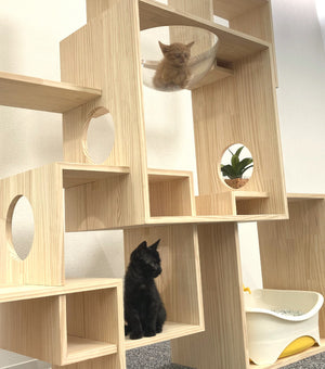 猫ハウス&キャットタワー 6BOX