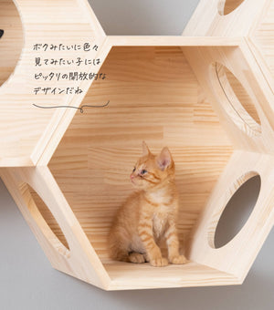 猫ハウス&キャットステップ 六角BOX①オープン