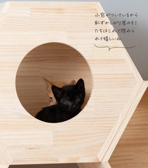 猫ハウス&キャットステップ 六角BOX②小窓