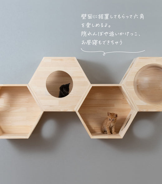 猫ハウス&キャットステップ 六角BOXセット