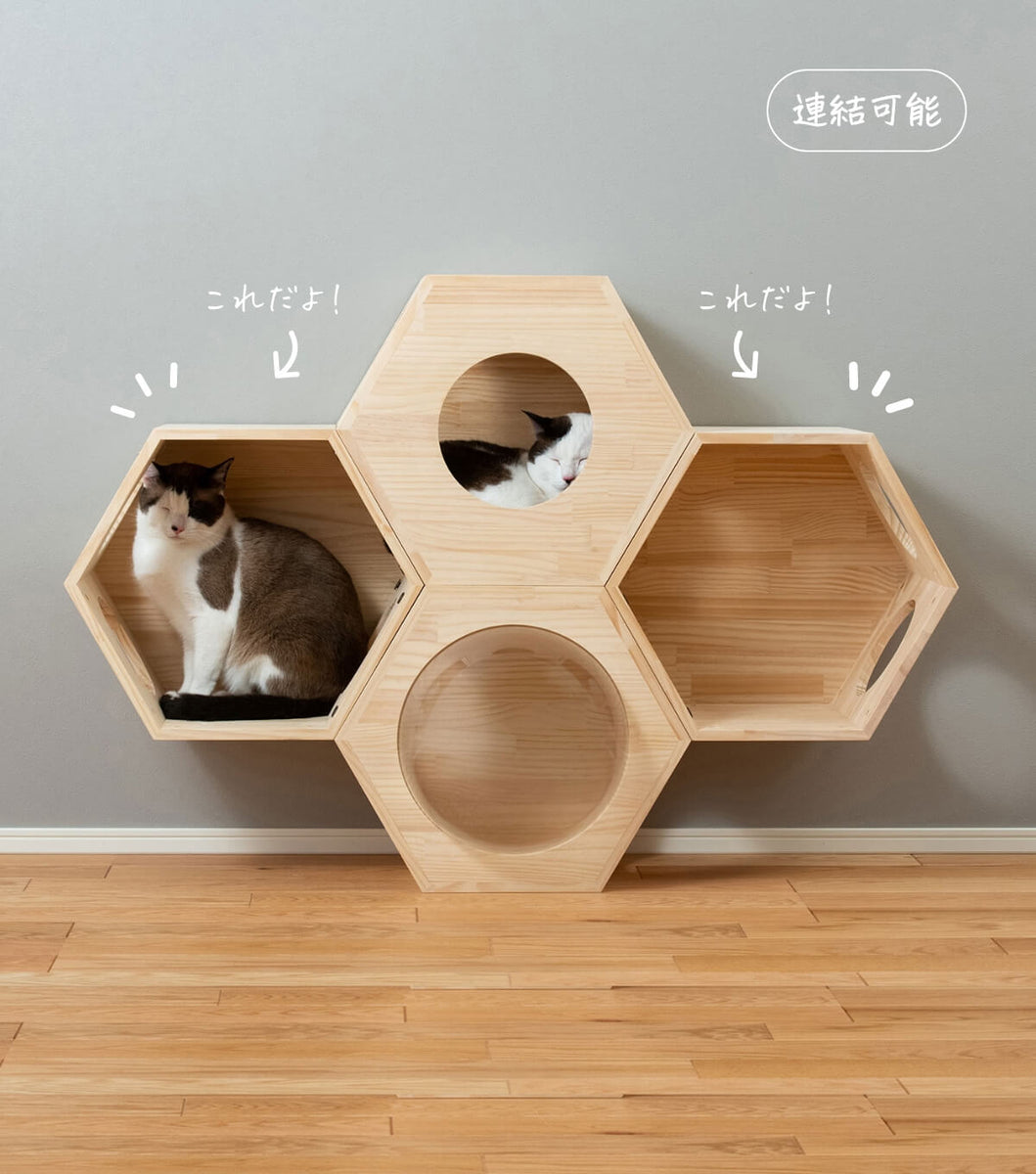 猫ハウス&キャットタワー 六角BOX①オープン（連結用） ｜ 猫の