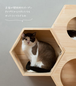 猫ハウス&キャットタワー 六角BOX①オープン（連結用）