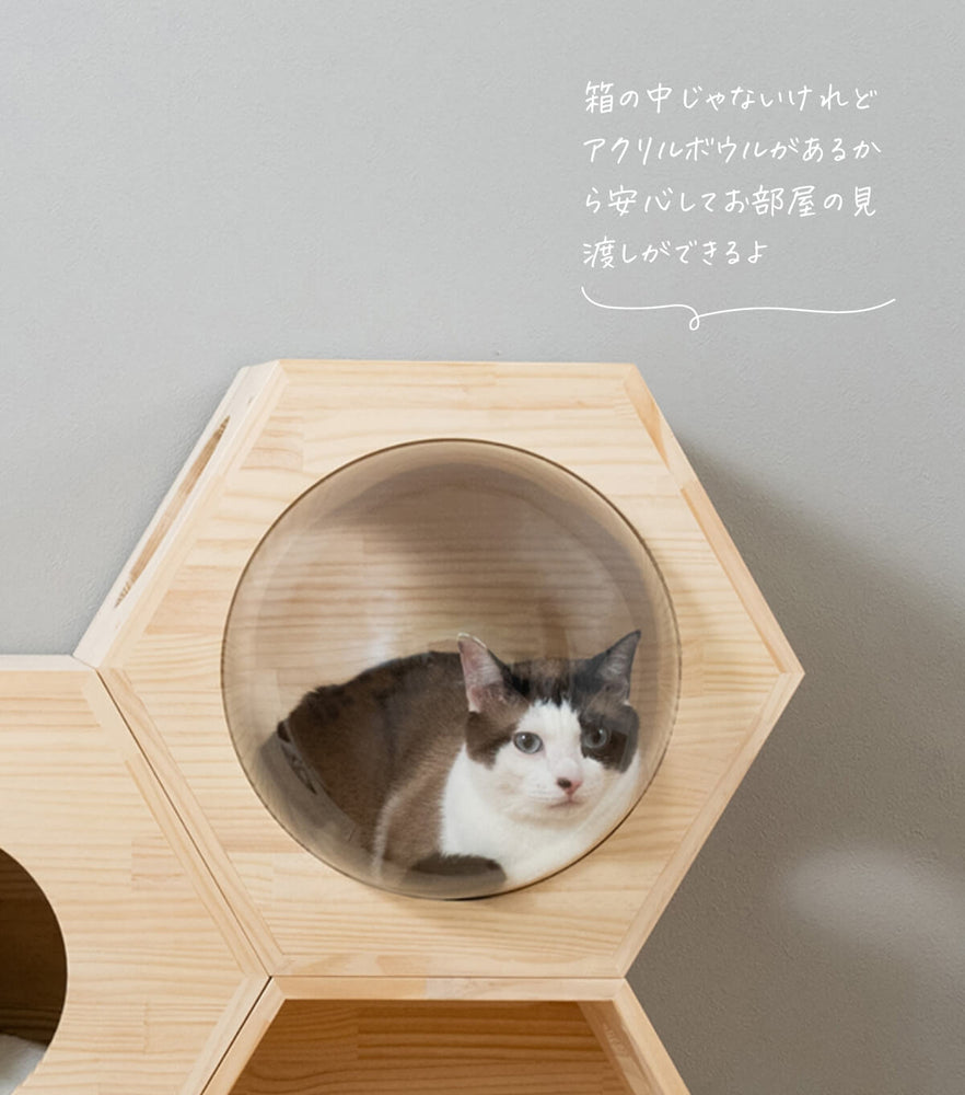 猫ハウス&キャットタワー 六角BOX③大窓ボウル付（連結用）