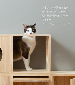 猫ハウス&キャットタワー 四角BOX①オープン