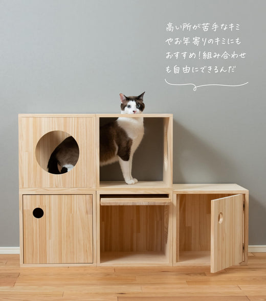 猫ハウス&キャットタワー 四角BOXセット