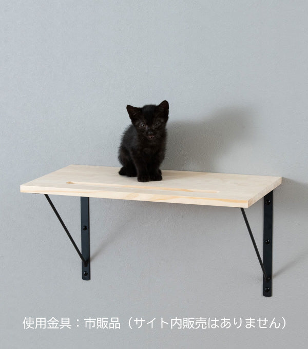 キャットステップ ③ノゾキアナ