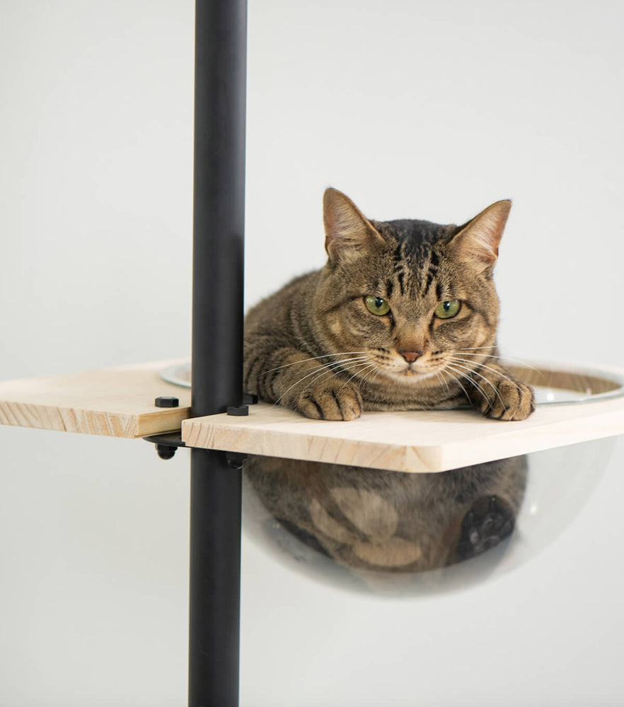 【天井高210cm~240cm対応】突っ張りキャットタワー 猫ポール（アイアン・ブラック）