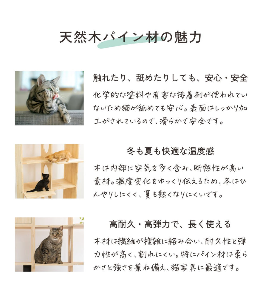 収納付きキャットタワー本棚 猫棚6×2 ｜ 猫のための木工所