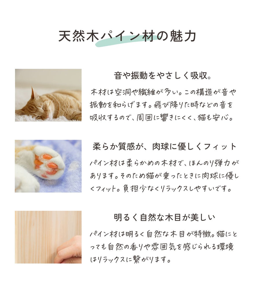 猫ハウス&キャットタワー 四角BOX①オープン ｜ 猫のための木工所