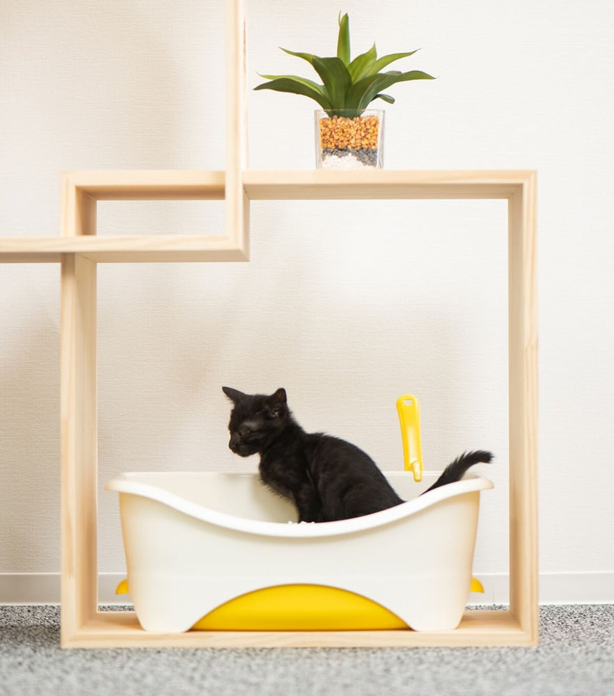 猫ハウス&キャットタワー 6BOX