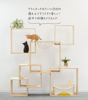 猫ハウス&キャットタワー 6BOX