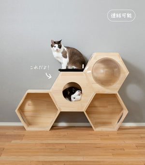 猫ハウス&キャットタワー 六角BOX②小窓（連結用）