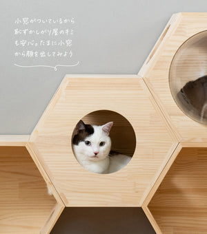 猫ハウス&キャットタワー 六角BOX②小窓（連結用）