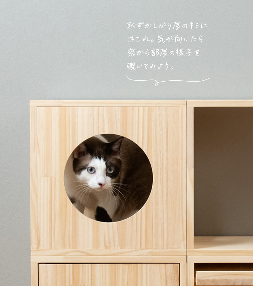 猫ハウス&キャットタワー 四角BOX②箱丸