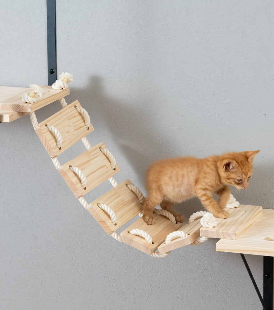 キャットステップ 猫はしご