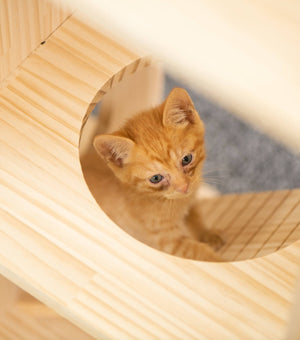 収納付きキャットタワー本棚 猫棚3段