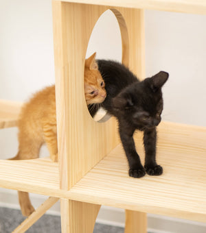 収納付きキャットタワー本棚 猫棚3段