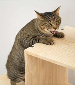 収納付きキャットタワー本棚 猫棚3段