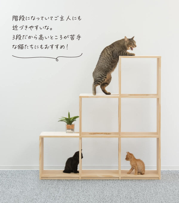 キャットタワー猫棚・アスレチックセット